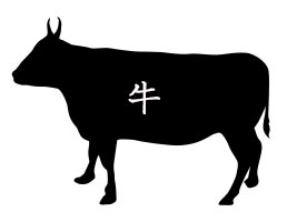 牛